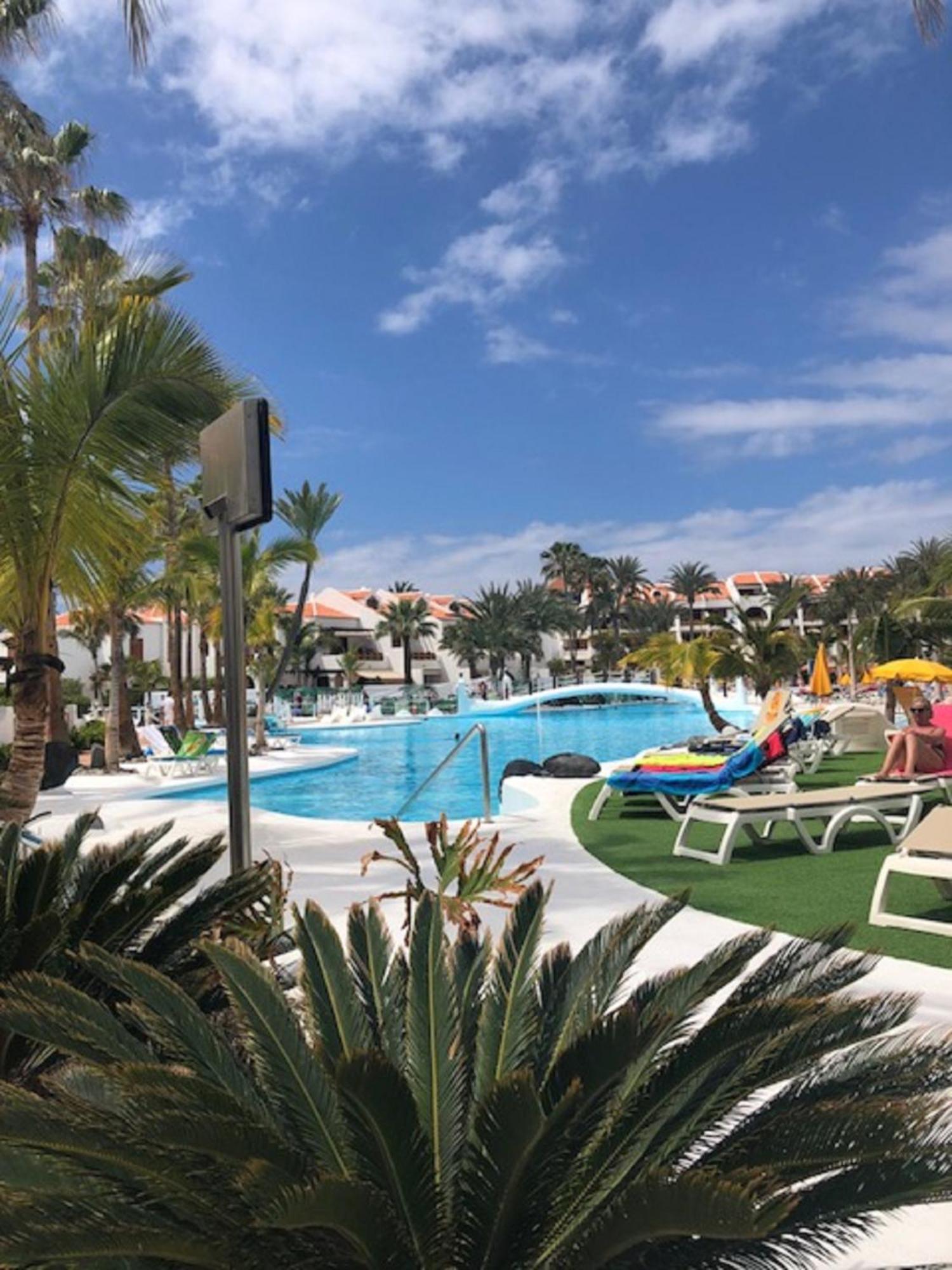 شقة Wonderland With The Best Swimming Pool In Park S III بلايا ذي لاس أميريكاس المظهر الخارجي الصورة