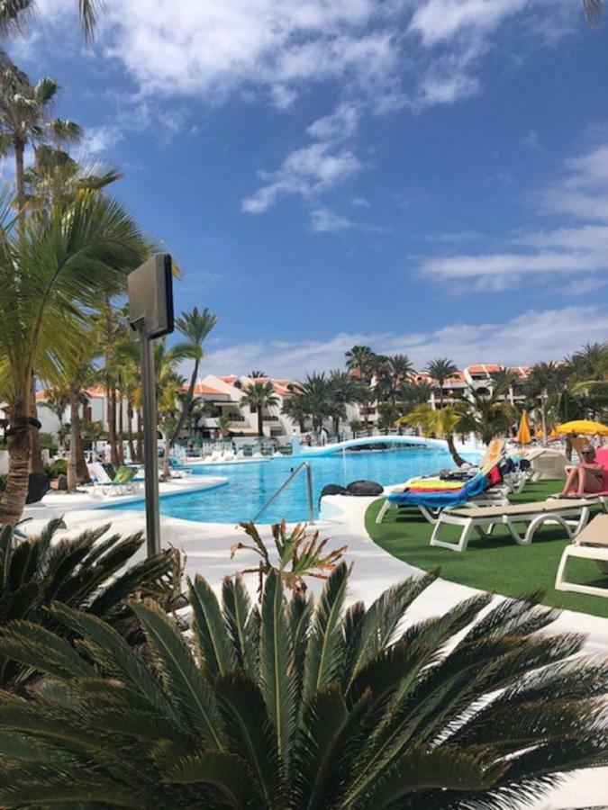شقة Wonderland With The Best Swimming Pool In Park S III بلايا ذي لاس أميريكاس المظهر الخارجي الصورة
